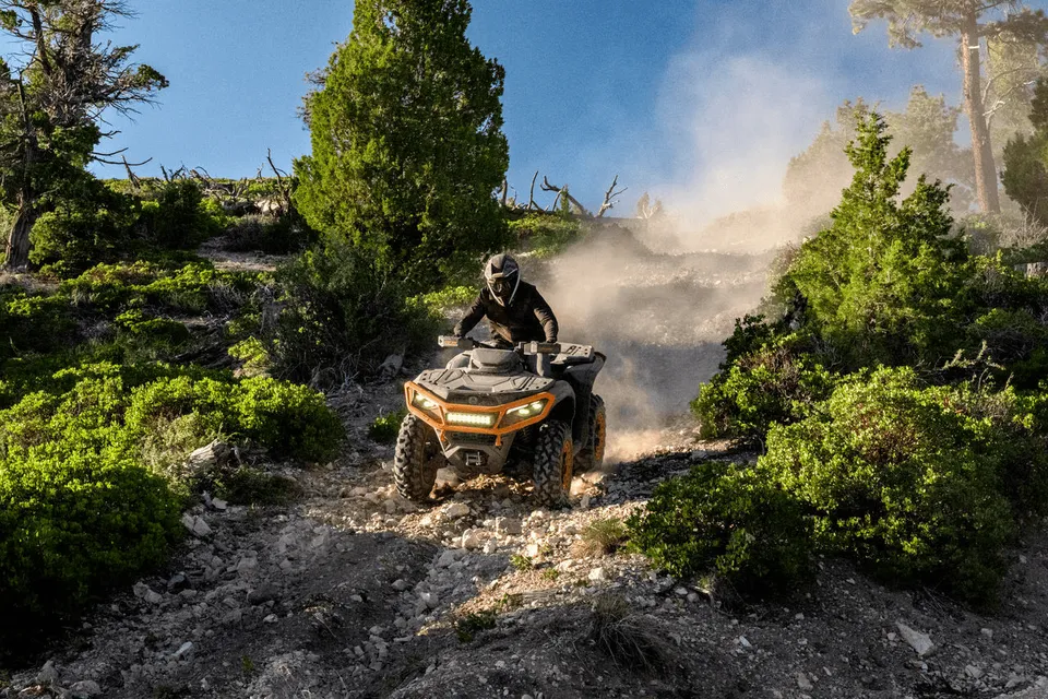 Quad